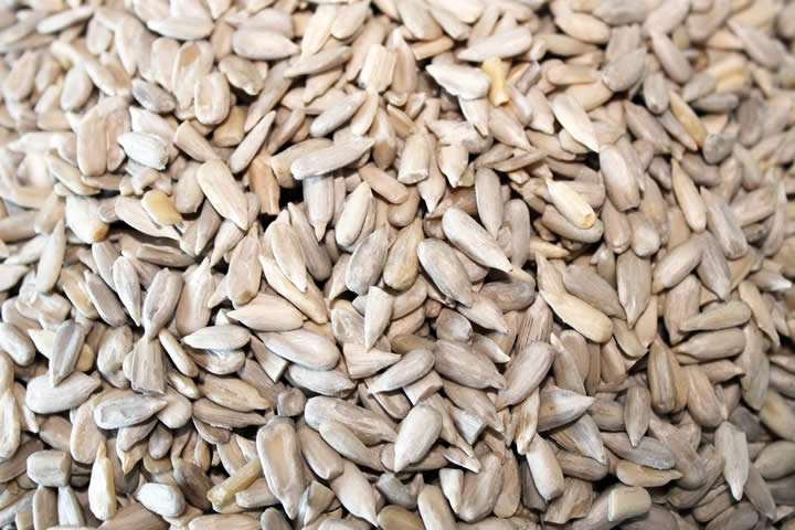 180 nutrition sunflower seeds