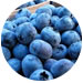 anti-inflammatory-foods blueberries