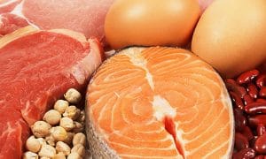 protein helps weight loss
