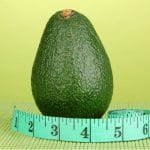 avocado facts